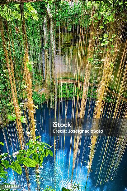 Top View Of Ikkil Cenote In Yucatan Mexico Stock Photo - Download Image Now - Cenote, Mexico, Adventure