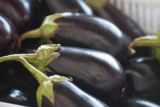 Eggplants stock photo