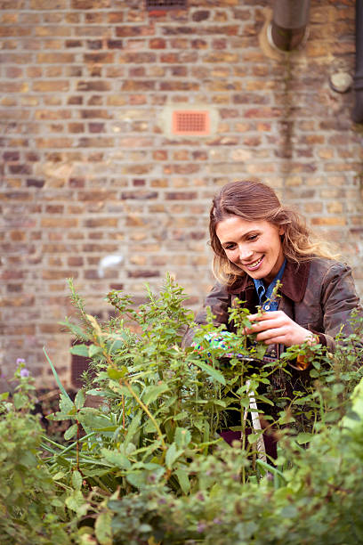 istock Woman in a garden 483318039