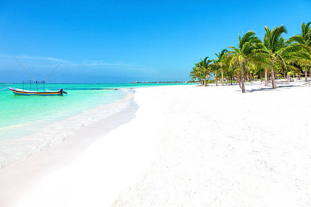熱帯のビーチ、ココヤシ、紺碧の海 - yucatan travel tropical climate mexico ストックフォトと画像