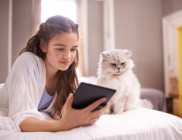 istock The internet is full of cats 483319078