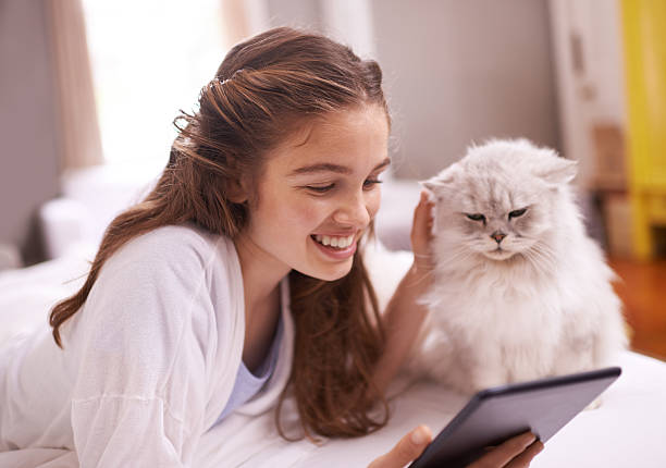 istock Look at all the other cats online! 483319100