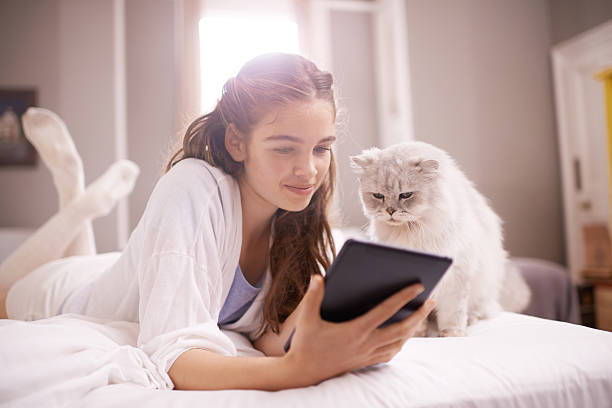 istock Why are you looking at other cats? 483319116