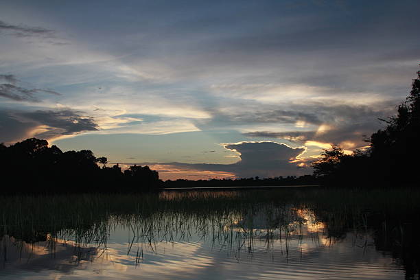 istock Sunrise, Rio Negro, Amazon, Brazil 483321559