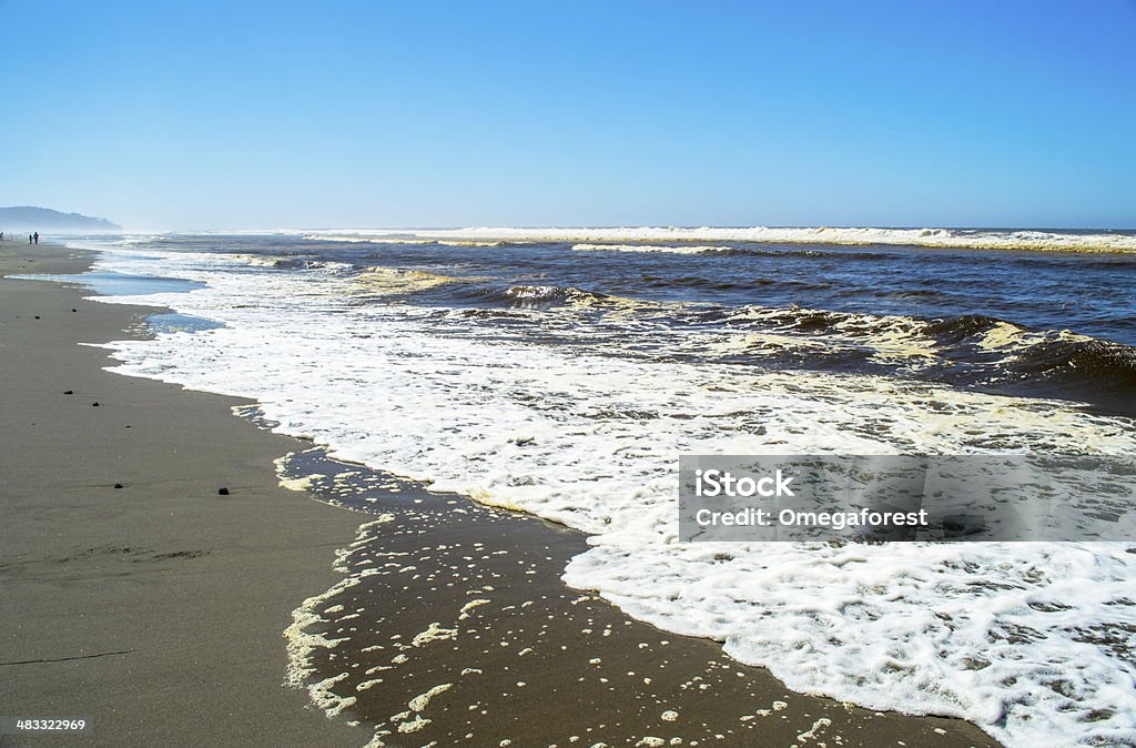 Pacific Ocean shore. Ocean shore at the Long Beach Peninsula, WA. Awe Stock Photo