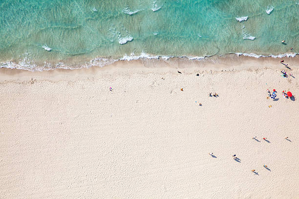 istock aerial view of a beach from high above 483323384