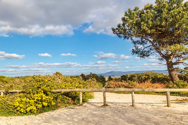 istock Fence to protect the coastal dunes 483327558