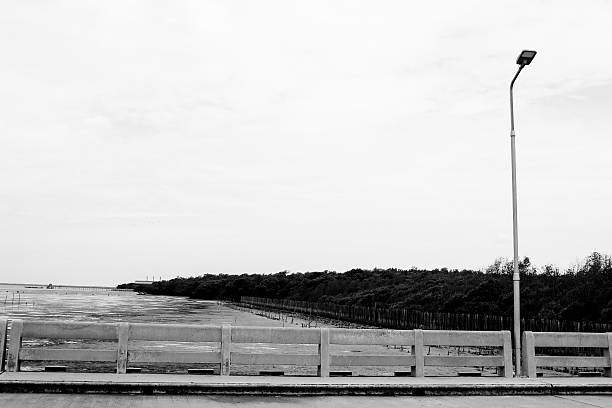 istock black and white on bridge near mangrove 483327998