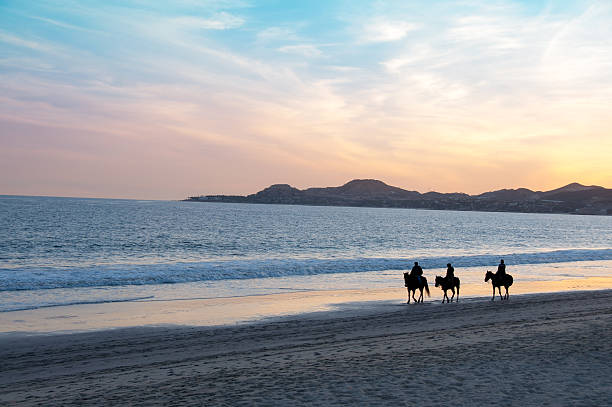 Mexican sunset near Cabo san Lucas with man and horses stock photo