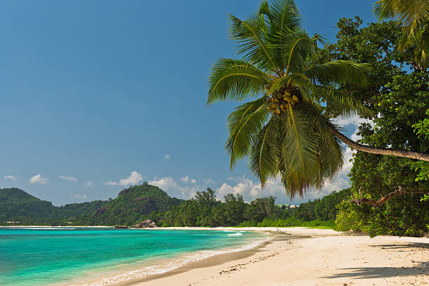 istock Tropical beach at Mahe island Seychelles 483332146