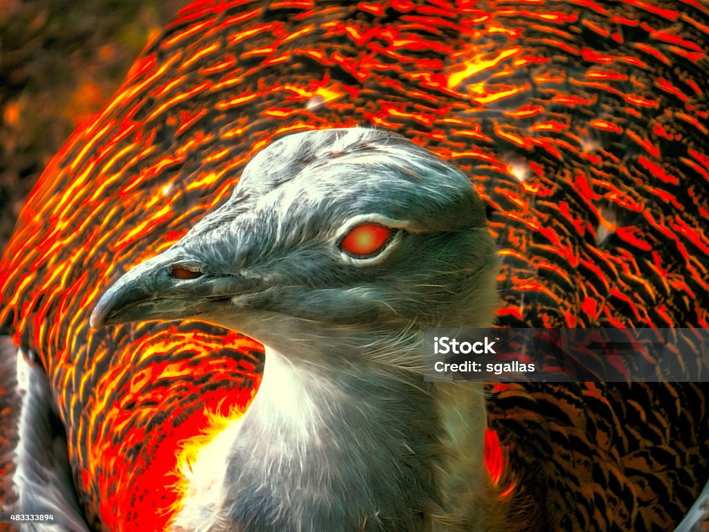 Phoenix Bird Closeup Stock Photo - Download Image Now - Phoenix - Mythical  Bird, 2015, Animal - iStock