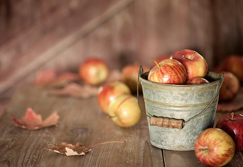 Apples on a Rustic Old Wood Table
