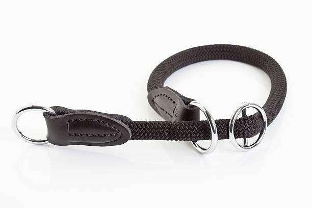 istock Black dog leash on white background,close up 483338564