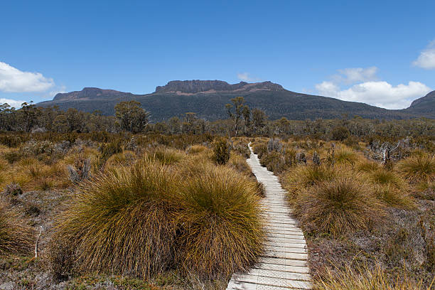 istock View of Mt Olympus from the Overland Track 483341897