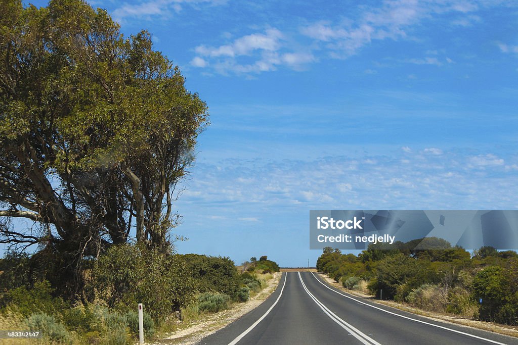 Route déserte Australie - Photo de Arbre libre de droits