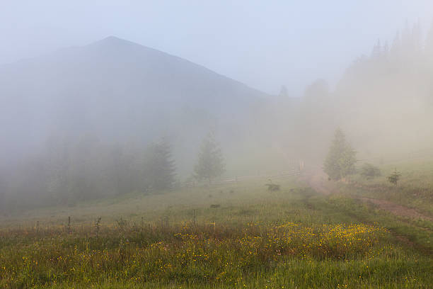 istock Beautiful sunrise with the morning mist 483342598