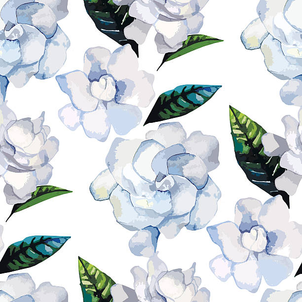 ilustrações de stock, clip art, desenhos animados e ícones de aguarela gardénia padrão - bride backgrounds white bouquet