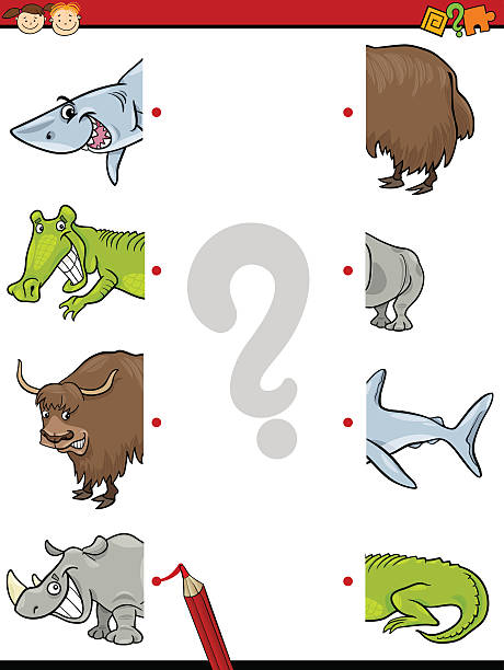 połówki gry edukacyjne dla dzieci - ox tail stock illustrations