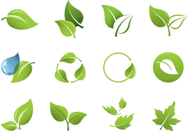 grünes blatt-symbole - leaves stock-grafiken, -clipart, -cartoons und -symbole