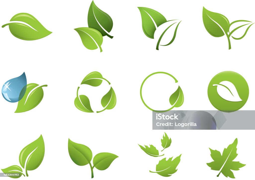 Green leaf icons Various vector leaf icons. Includes a JPG, and a transparent PNG. Leaf stock vector