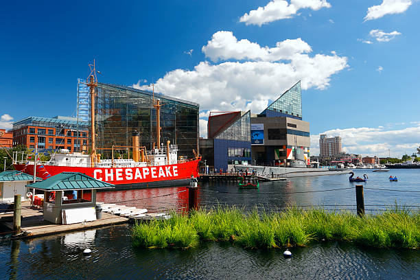 baltimore - baltimore maryland inner harbor skyline imagens e fotografias de stock