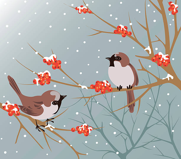 birds tree branches c - perching stock illustrations