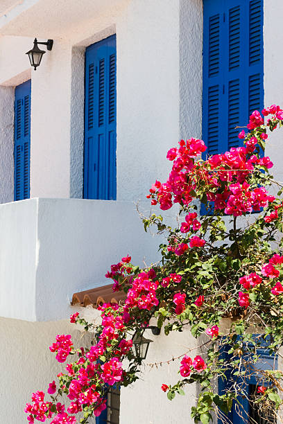 Detail of typical Greek blue windows and white buildings stock photo