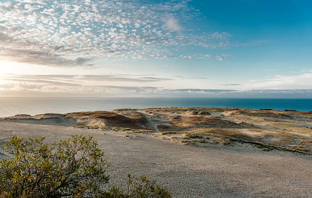 Curonian Spit Sunrise over dunes and Baltic Sea. Curonian Spit, Nida, Lithuania lithuania stock pictures, royalty-free photos & images