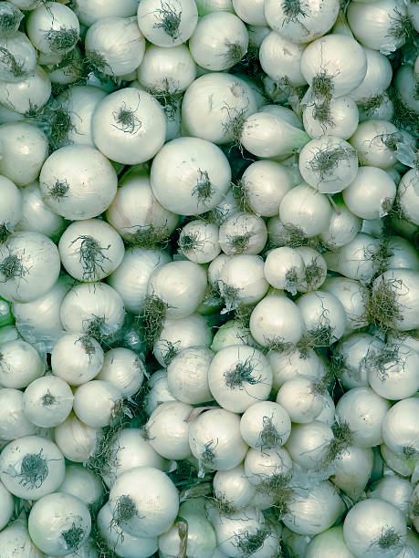 white onions