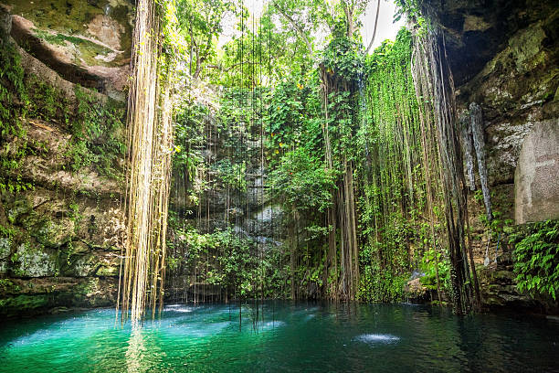 General view of Ik-Kil Cenote in Yucatan, Mexico Lovely cenote with transparent water and hanging roots cenote stock pictures, royalty-free photos & images