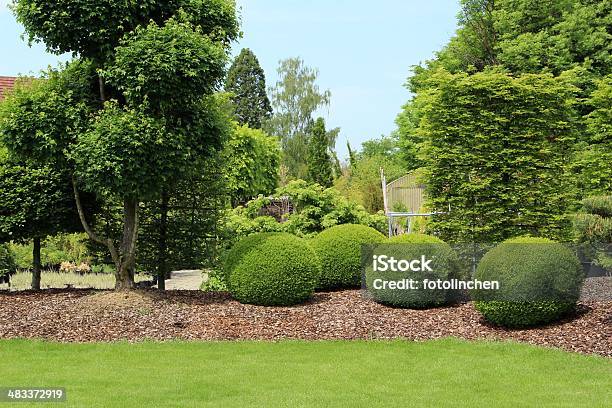 Gardendesign Mit Buxus Stockfoto und mehr Bilder von Strauch - Strauch, Baum, Hausgarten