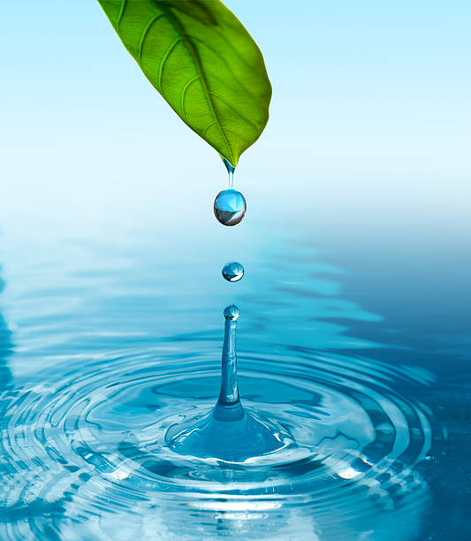 istock green leaf with water drop ans splash isolated o white 483374491