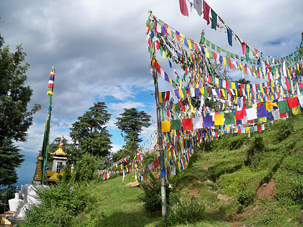 bandeiras de oração arround dalai lama templo em mcleod ganj, dharamsala - tibet india tibetan culture buddhism imagens e fotografias de stock