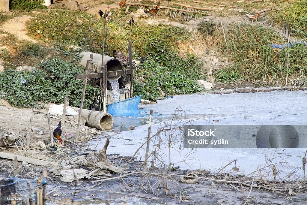 Gaspillage d'eau - Photo de Arbre libre de droits