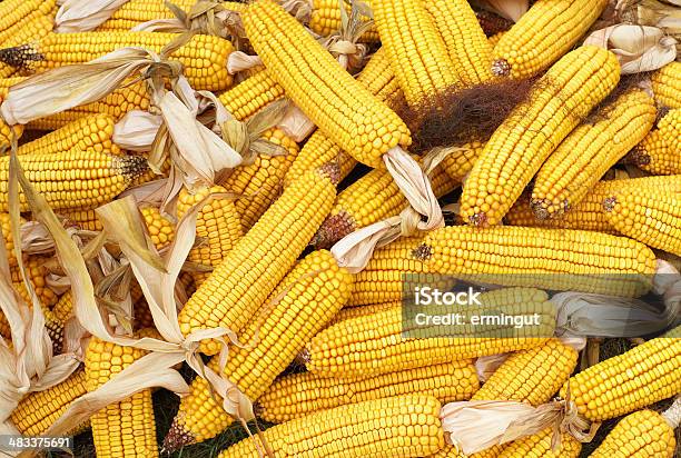 Kukurydza Stożek Tle - zdjęcia stockowe i więcej obrazów Bez ludzi - Bez ludzi, Fotografika, Horyzontalny