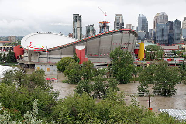 allagato calgary saddledome - scotiabank saddledome foto e immagini stock