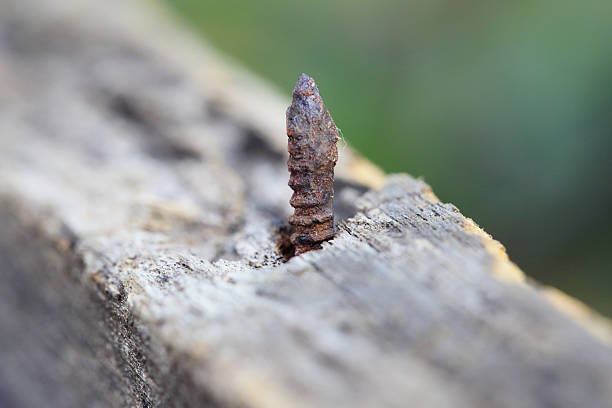 muy antigua y oxidados railroad de enriquecimiento - railroad spikes fotografías e imágenes de stock