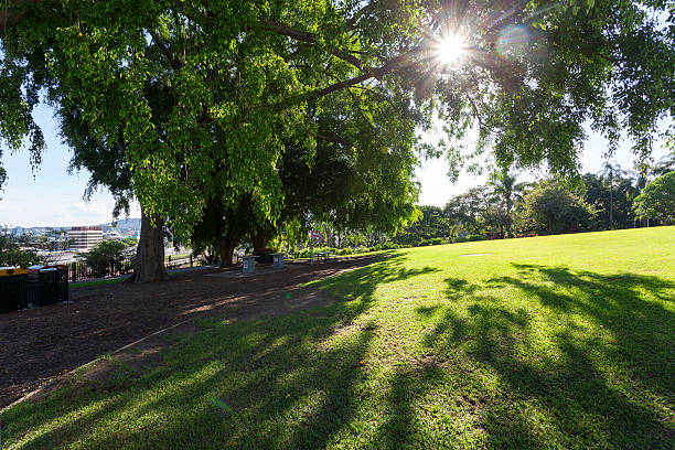 Brisbane City Park stock photo