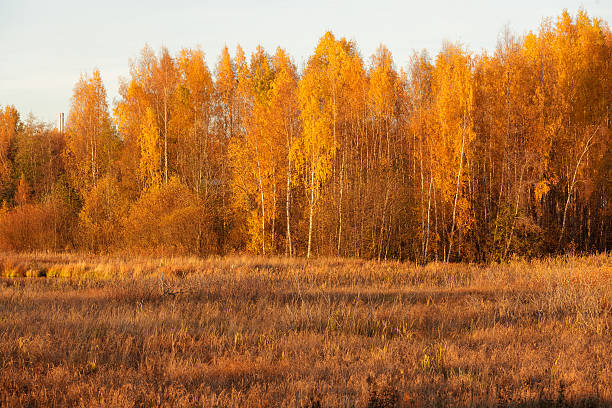 istock Nature landscape in autumn colors 483381872