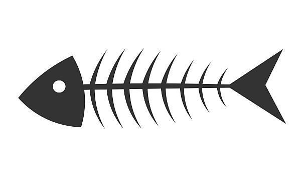 Fishbone Fishbone. Vector illustration animal bone stock illustrations