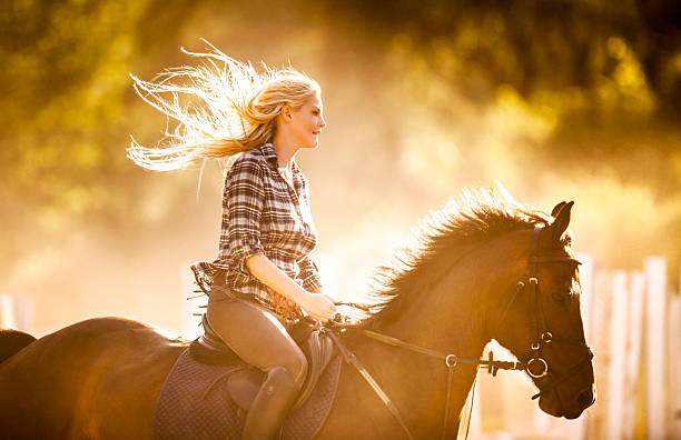 Side view of young woman practicing with her horse at sunset.   