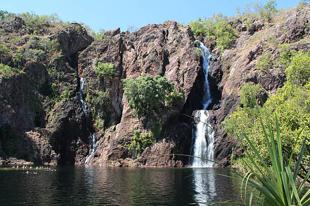 водопад wangi, litchfield park, дарвин, северная территория, австралия - wangi falls стоковые фото и изображения