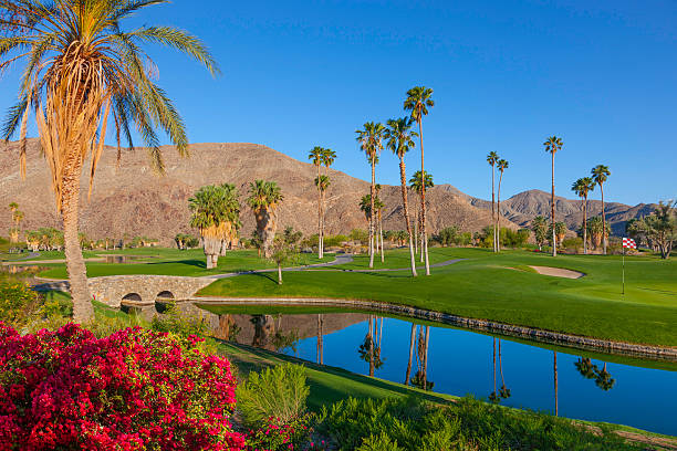 パームスプリングスゴルフコース、カリフォルニア州 - lawn desert golf california ストックフォトと画像