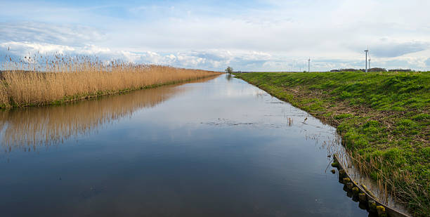 istock Canal through a rural landscape in spring 483396407