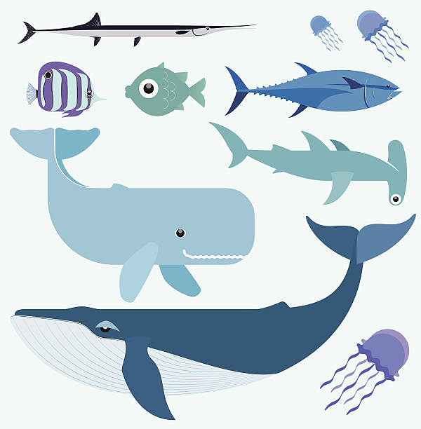 海のベクトルセット - tuna fish silhouette saltwater fish点のイラスト素材／クリップアート素材／マンガ素材／アイコン素材
