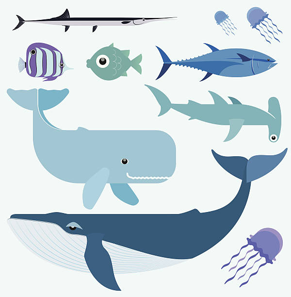 바다빛 벡터 설정 - tuna silhouette fish saltwater fish stock illustrations