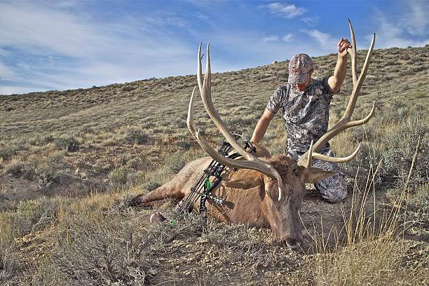 hunter con elk - ciervo de américa del norte fotografías e imágenes de stock