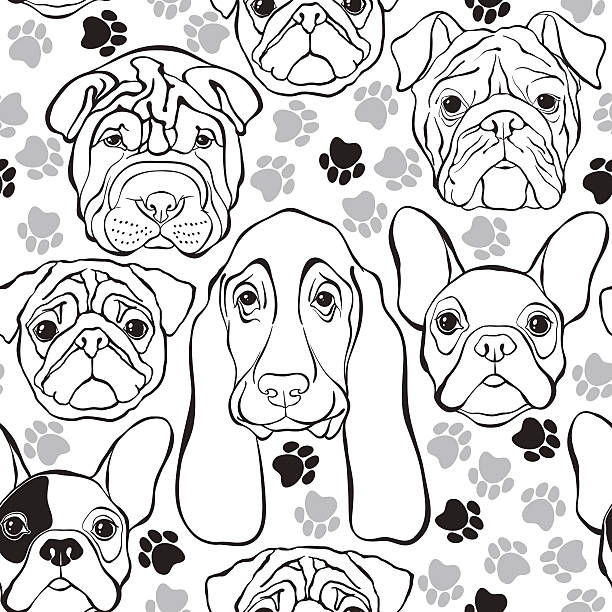 Vector seamless pattern with faces dogs and traces. Monochrome background. Animal background. mini shar pei puppies stock illustrations
