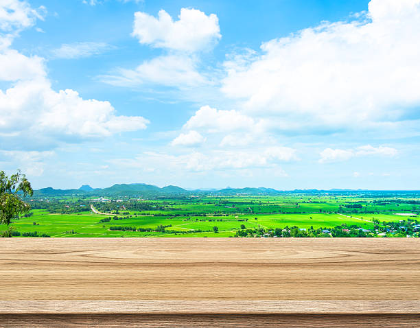 istock Empty wood table with green field and blue sky 483409998