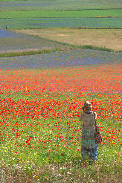 fotograf w długo zielona-niebieską sukienkę w pobliżu castelluccio, włochy - natural landmark outdoors vertical saturated color zdjęcia i obrazy z banku zdjęć